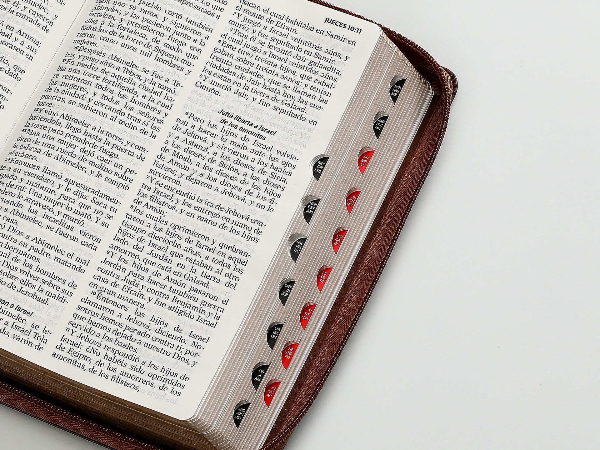 Biblia RVR60 Tamaño Manual letra grand