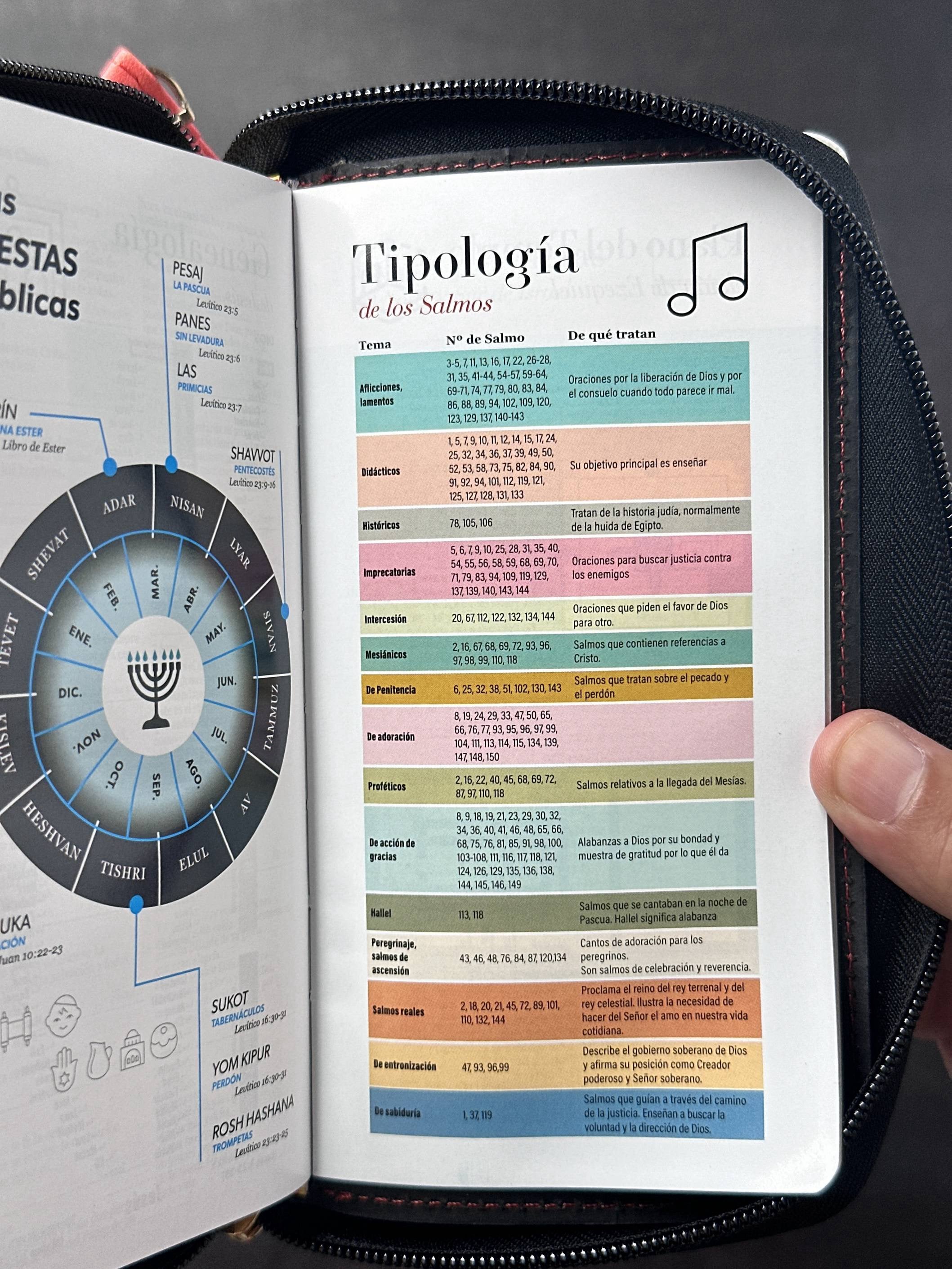 Biblia RVR60 Chequera