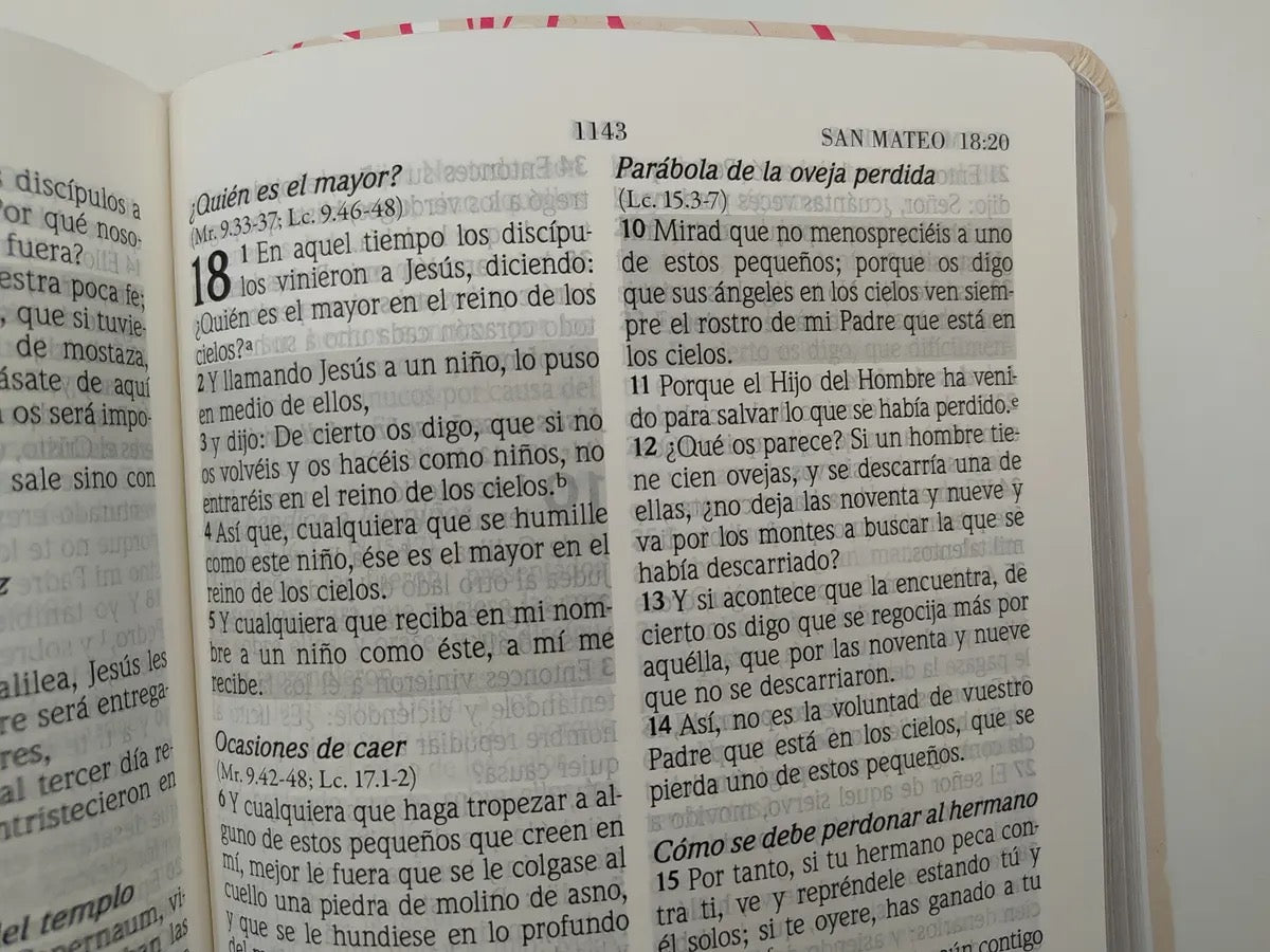 Libreria Cristiana Arca