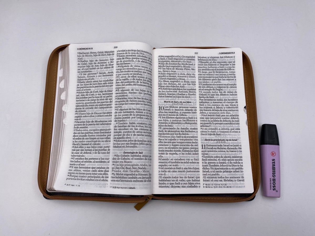 Libreria Cristiana Arca