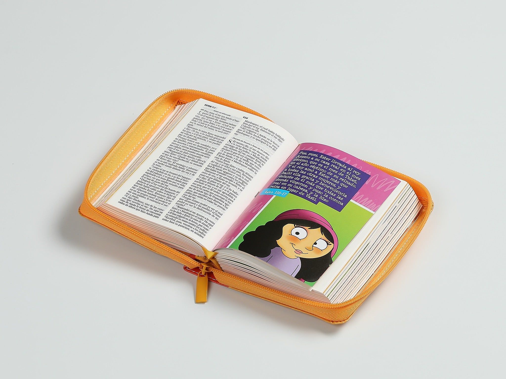 Libreria Cristiana Arca