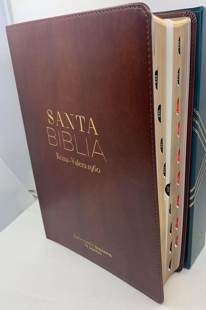 Libreria Cristiana Arca