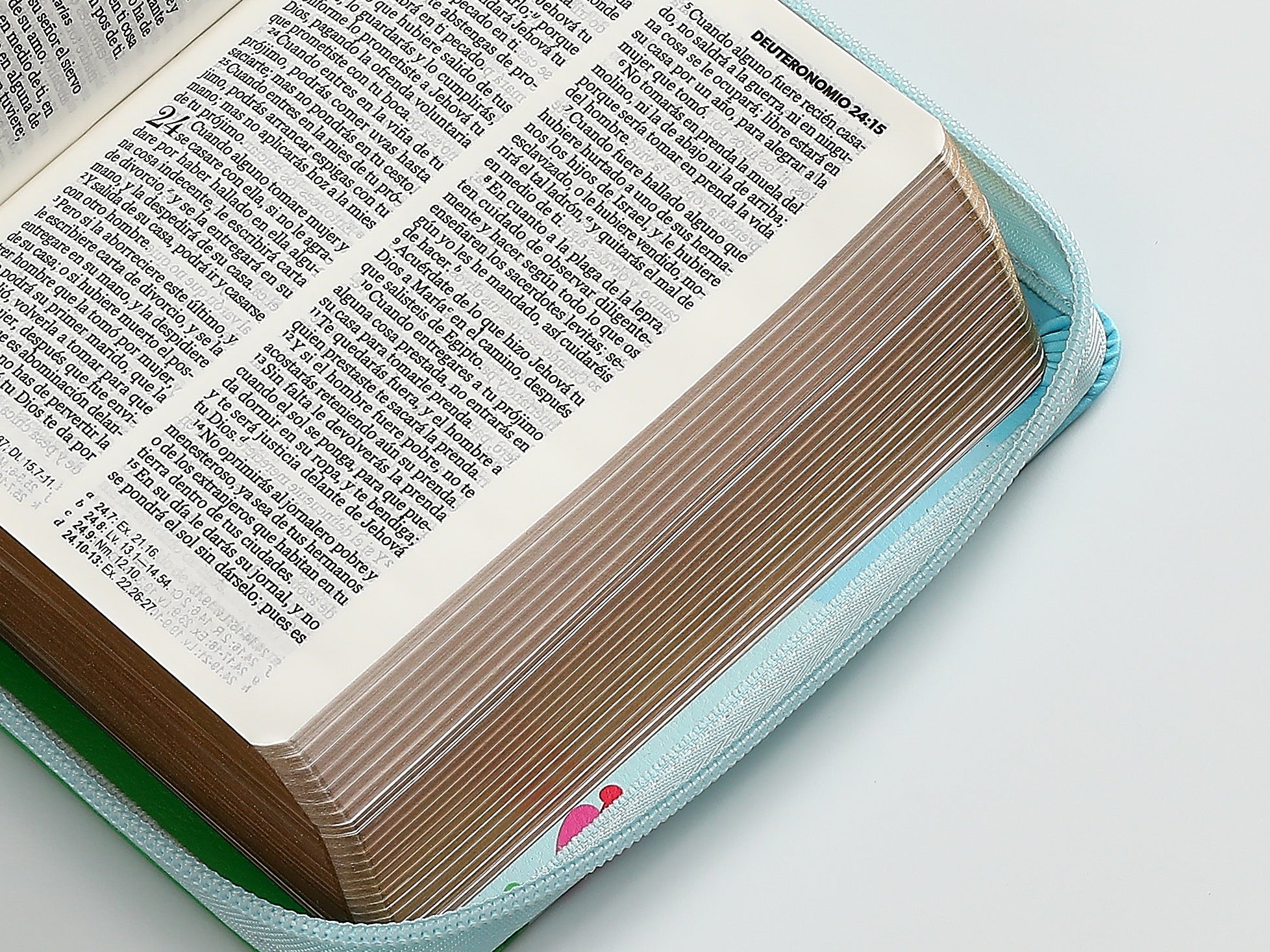 Libreria Cristiana Arca