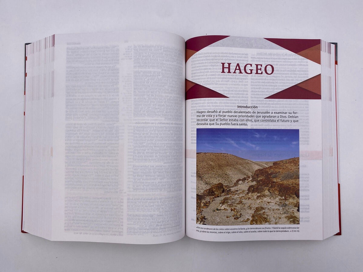 Biblia RVR 1960 de Estudio Holman Tapa Dura