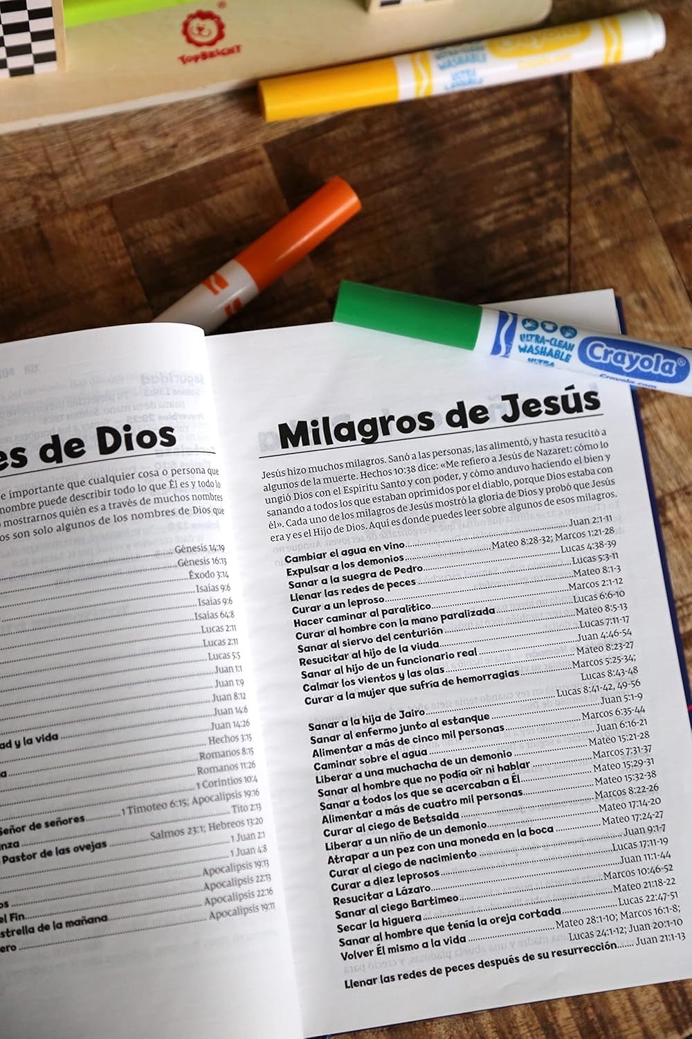 Biblia NVI para Niños Gris