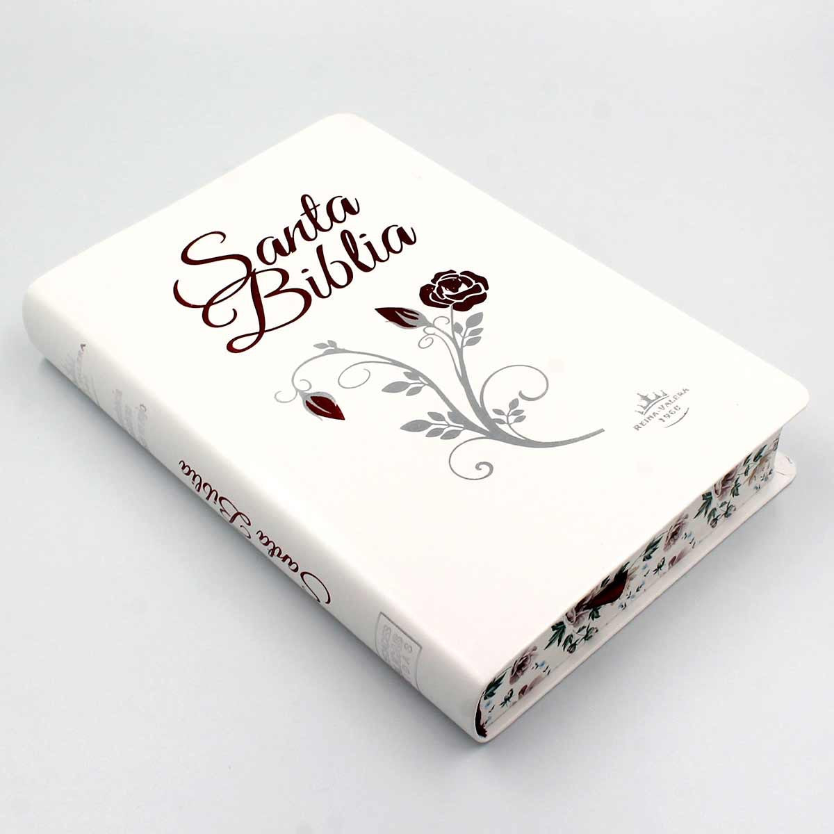 Biblia RVR 1960 Letra Grande