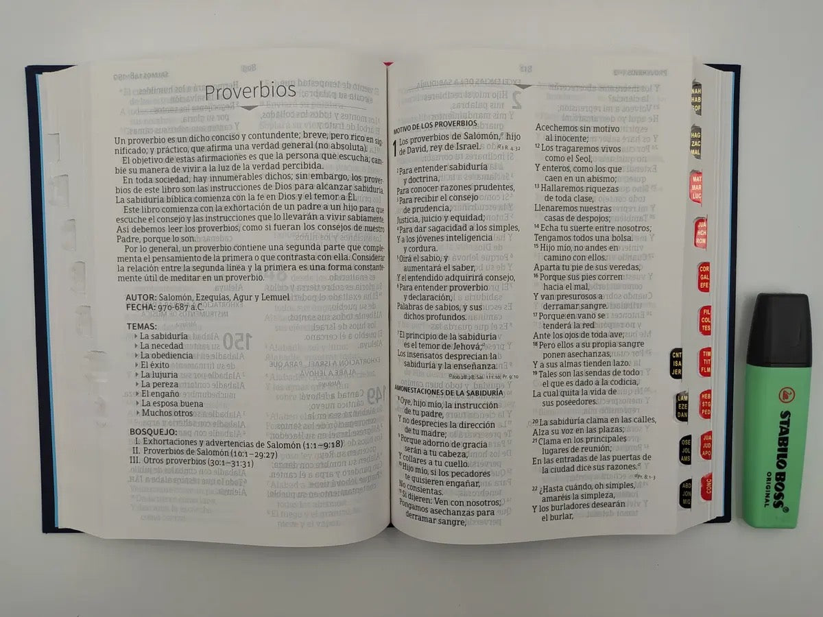 Libreria Cristiana Arca