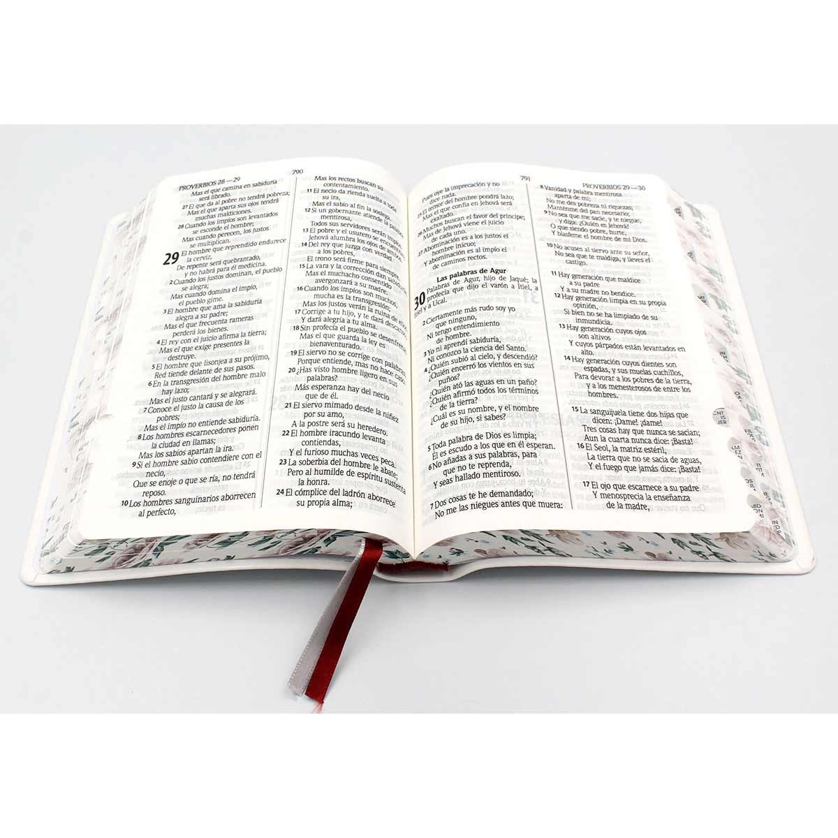 Biblia RVR 1960 Letra Grande
