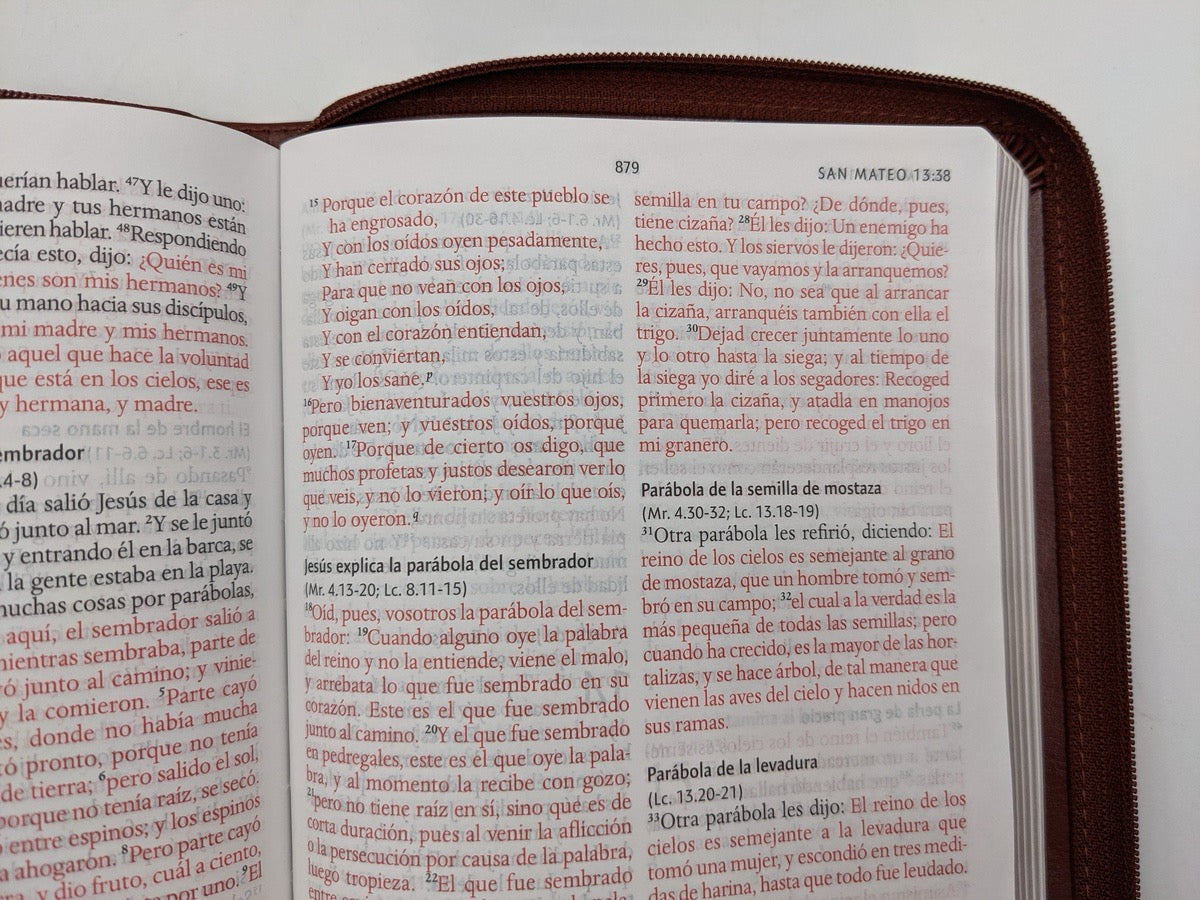 Libreria Cristiana Arca