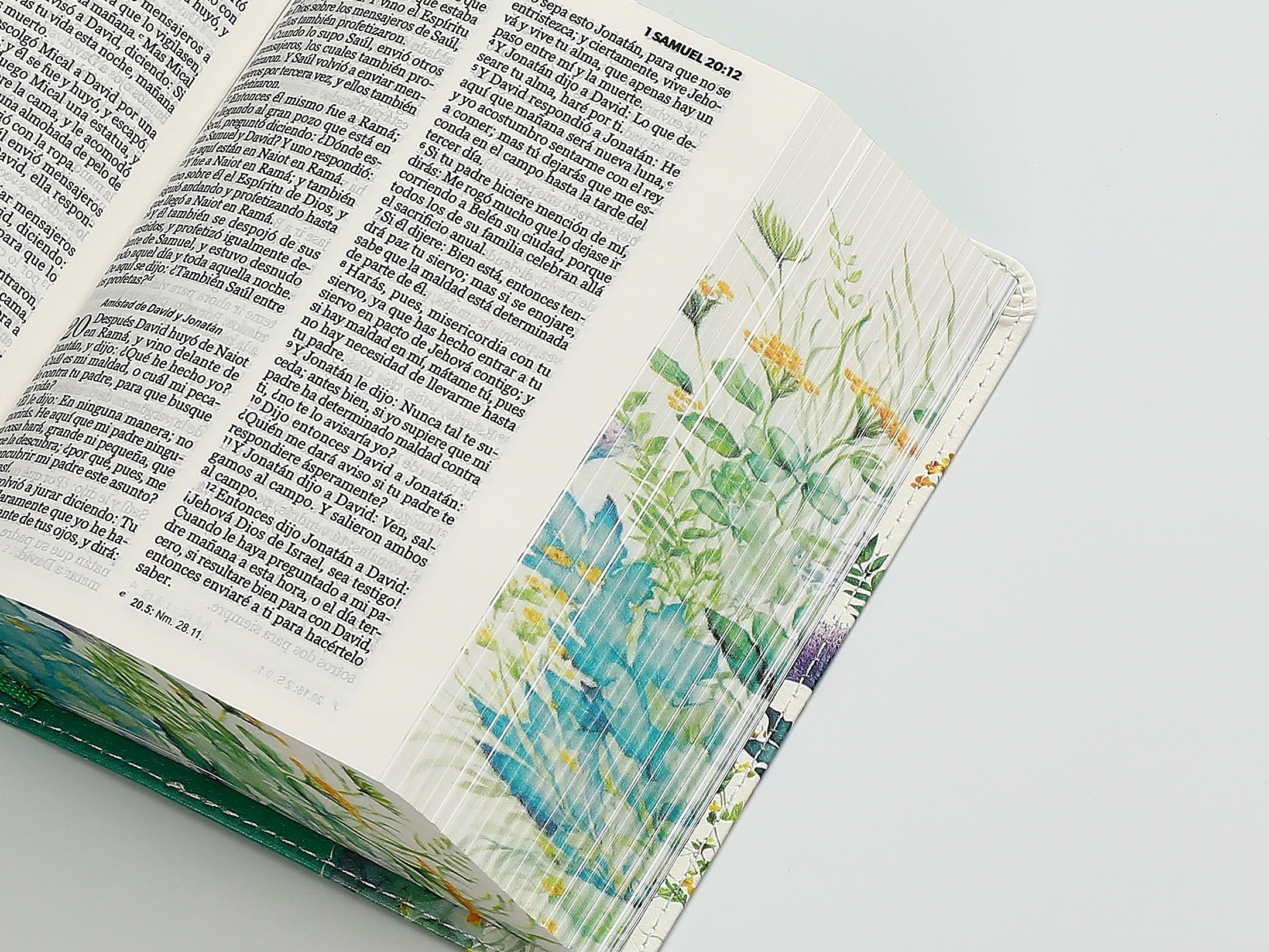 Biblia bolsillo verde RVR 1960