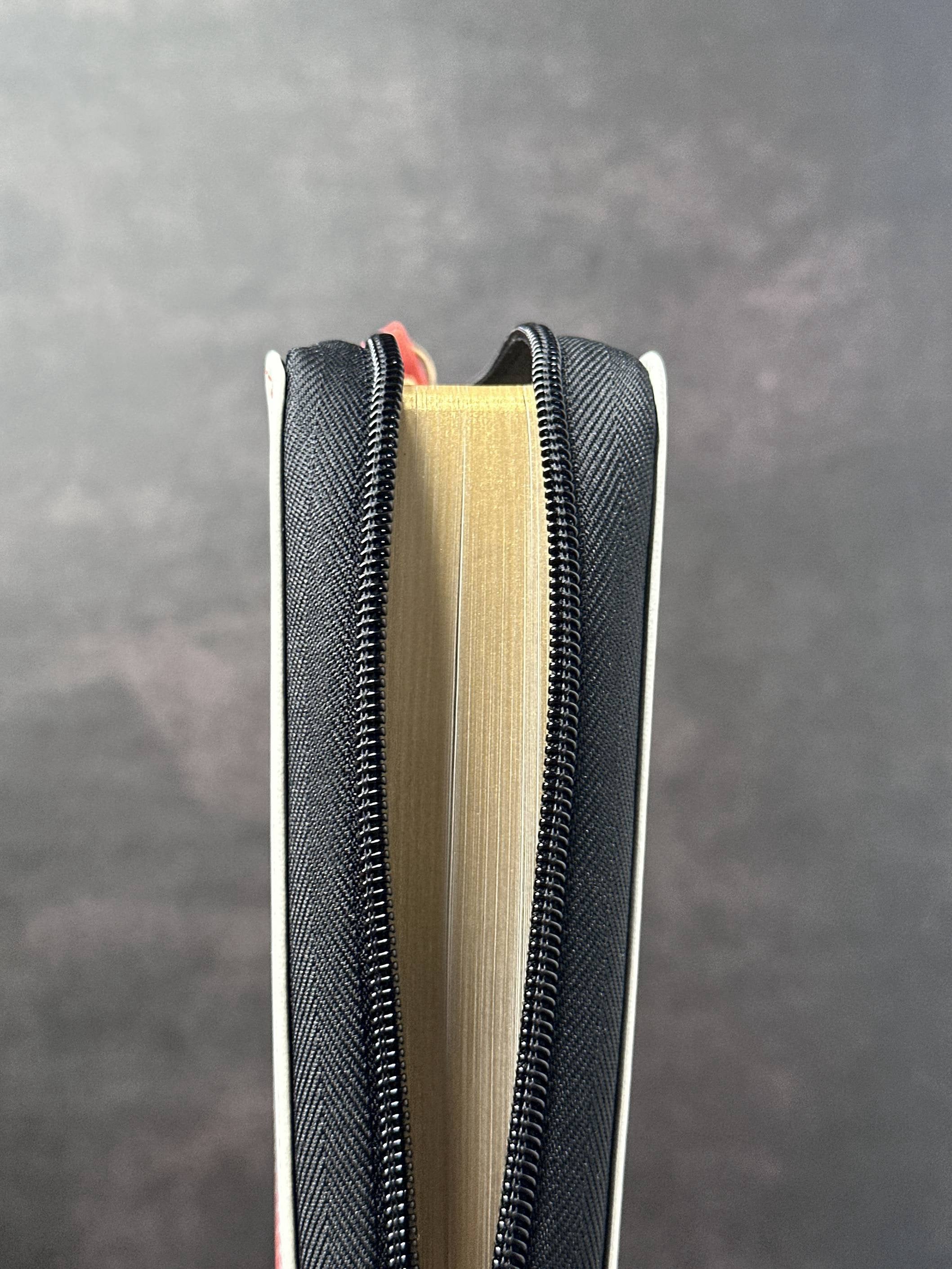 Biblia RVR60 Chequera