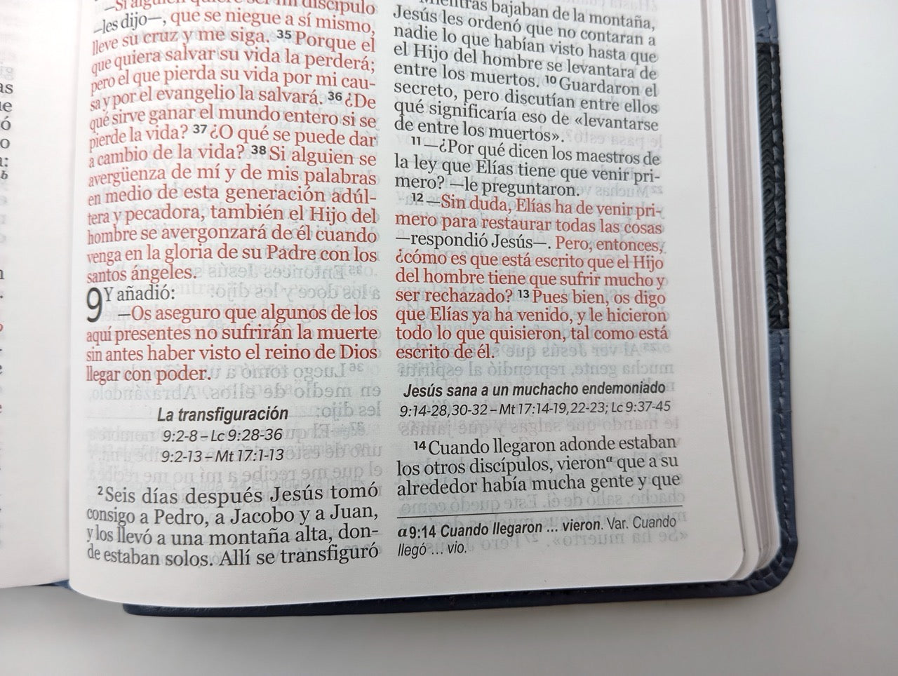Biblia NVI letra grande azul