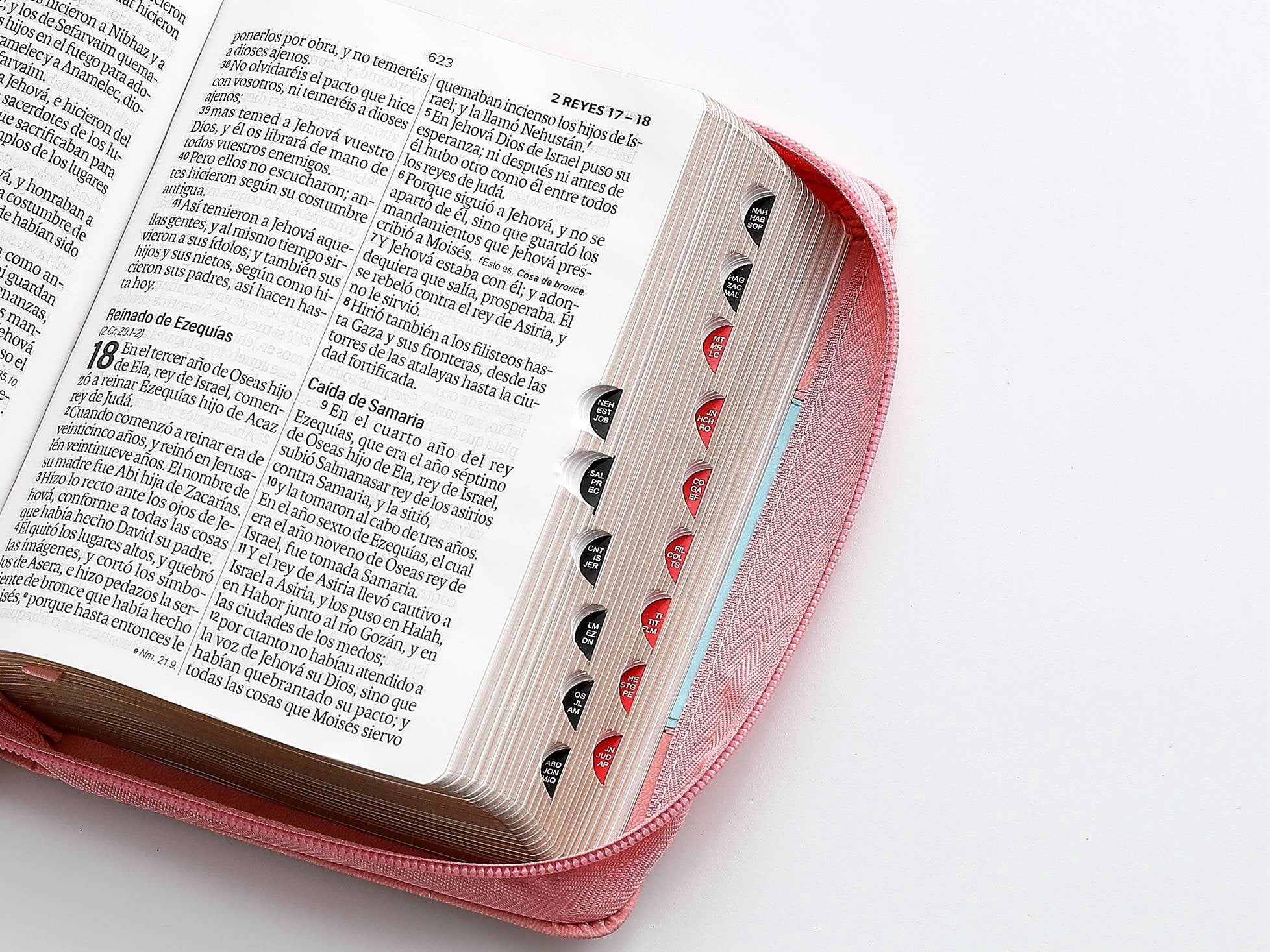 Libreria Cristiana Arca