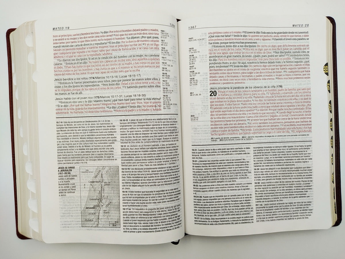 Biblia RVR 1960 de Estudio Diario Vivir Café