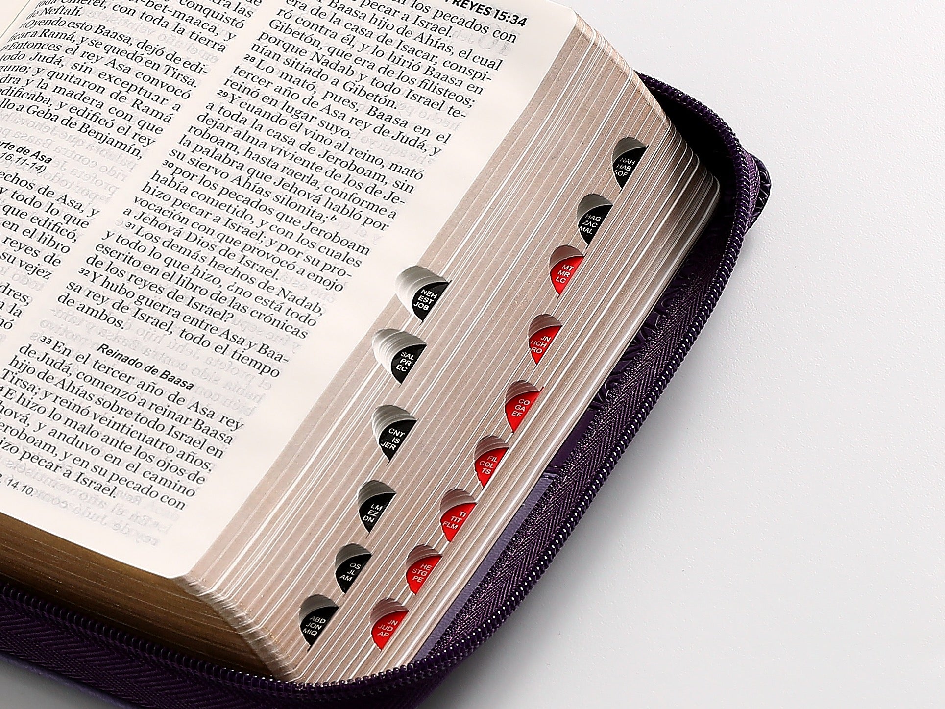 Biblia RVR 1960 Letra Grande Tamaño Manual morado