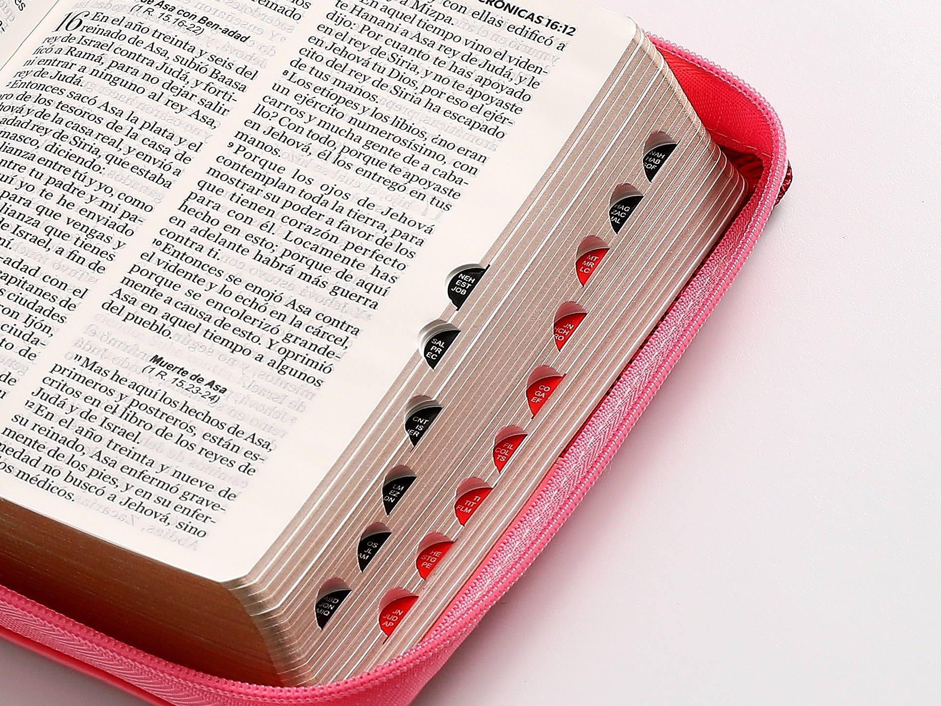 Libreria Cristiana Arca