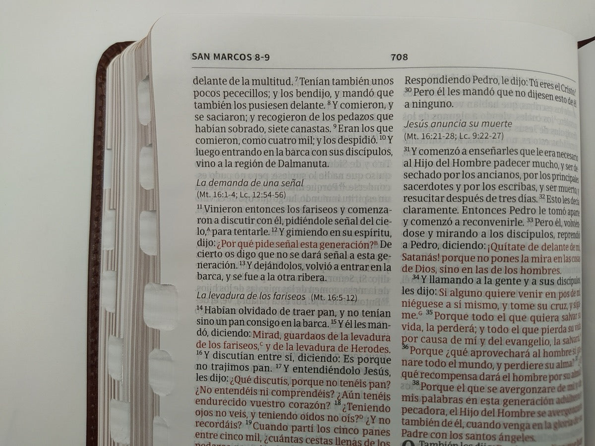 Libreria Cristiana Arca