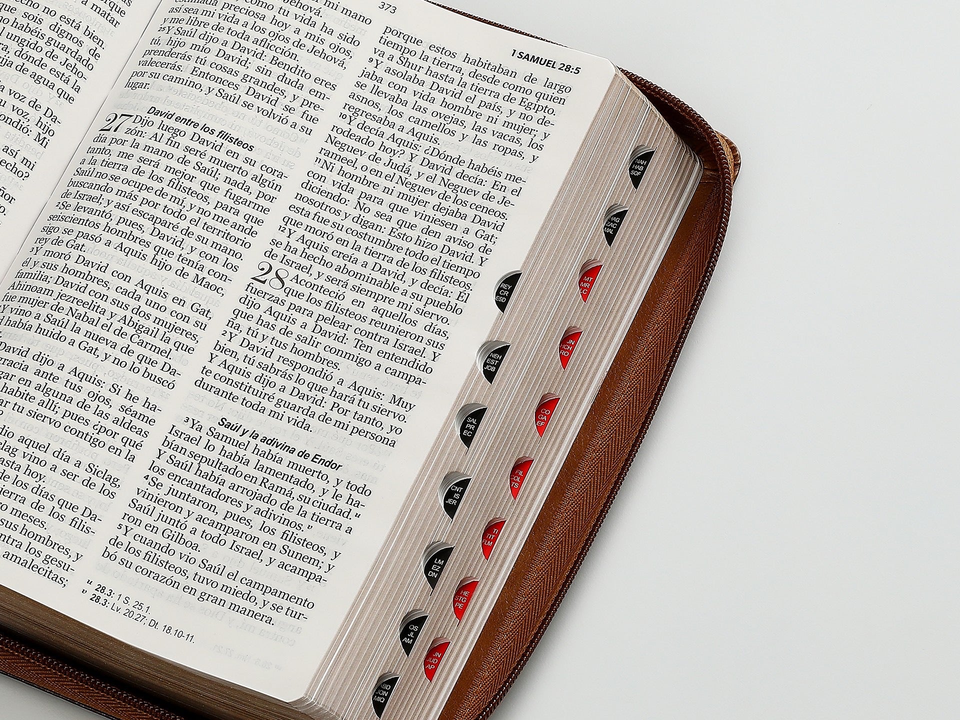 Biblia RVR60 Tamaño Manual letra grande águila