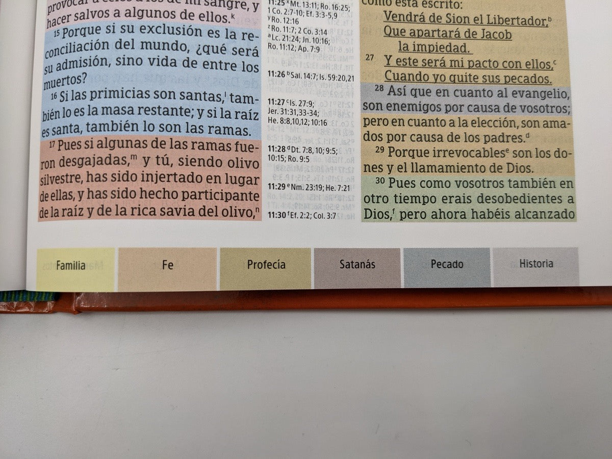 Libreria Cristiana Arca