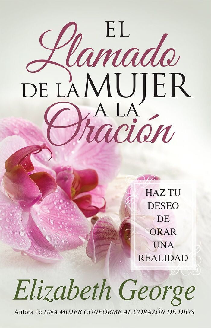 Libreria Cristiana Arca