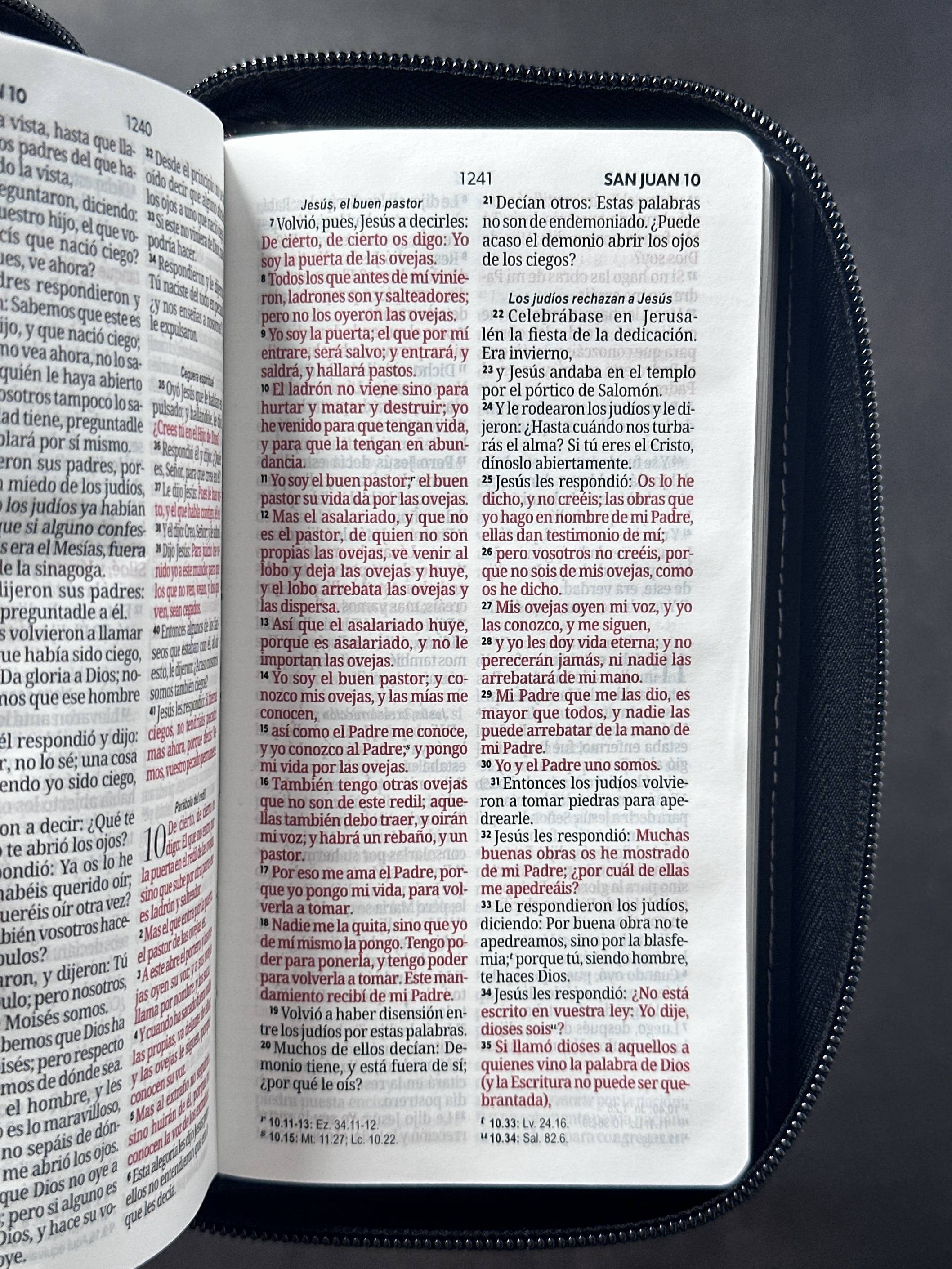 Libreria Cristiana Arca