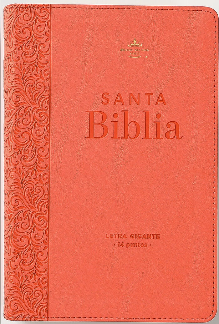 Libreria Cristiana Arca