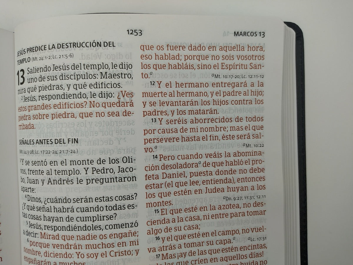 Libreria Cristiana Arca