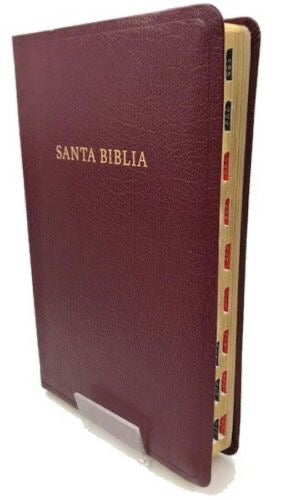 Biblia RVR 1960 Letra Súper Gigante con indice