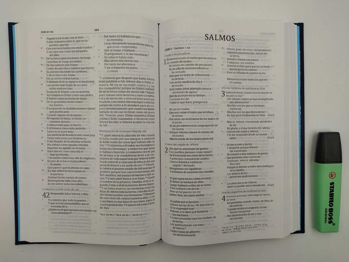 Biblia RVR 1960 Ultrafina Azul