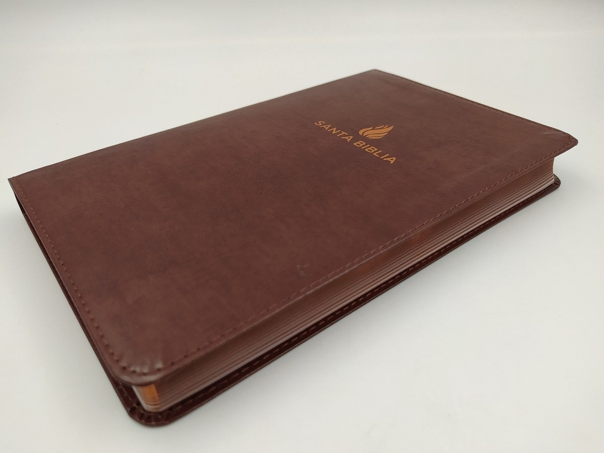 Biblia RVR 1960 Ultrafina Marrón