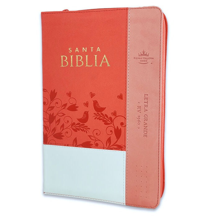 Libreria Cristiana Arca