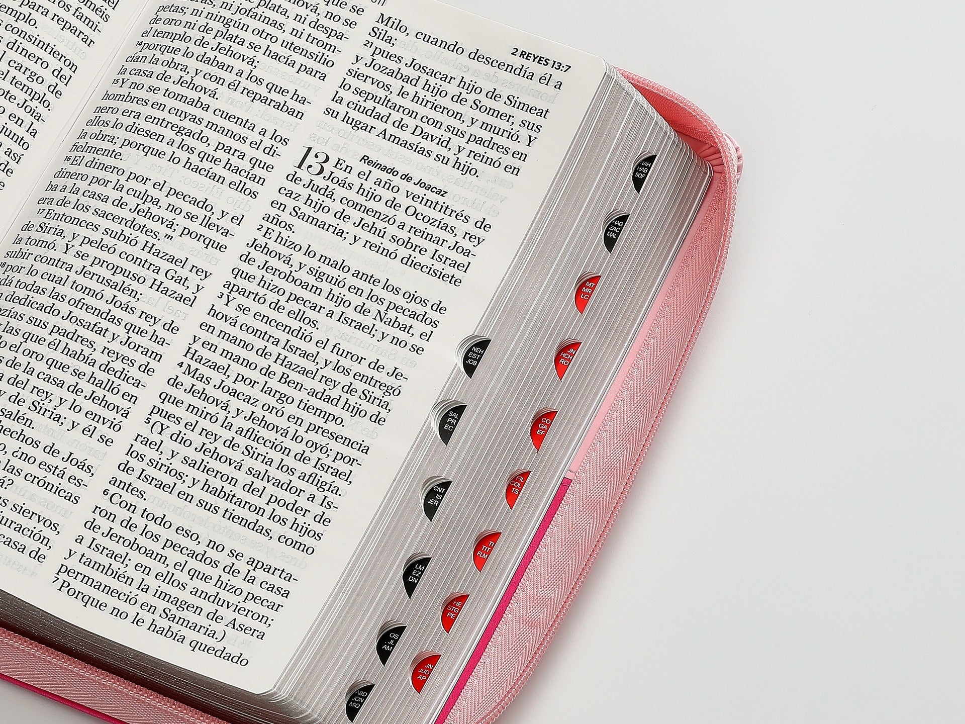 Biblia RVR60 Tamaño manual letra Gigante Rosa