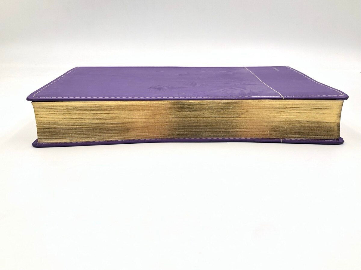 Biblia RVR2020 Tamaño Manual Letra Grande