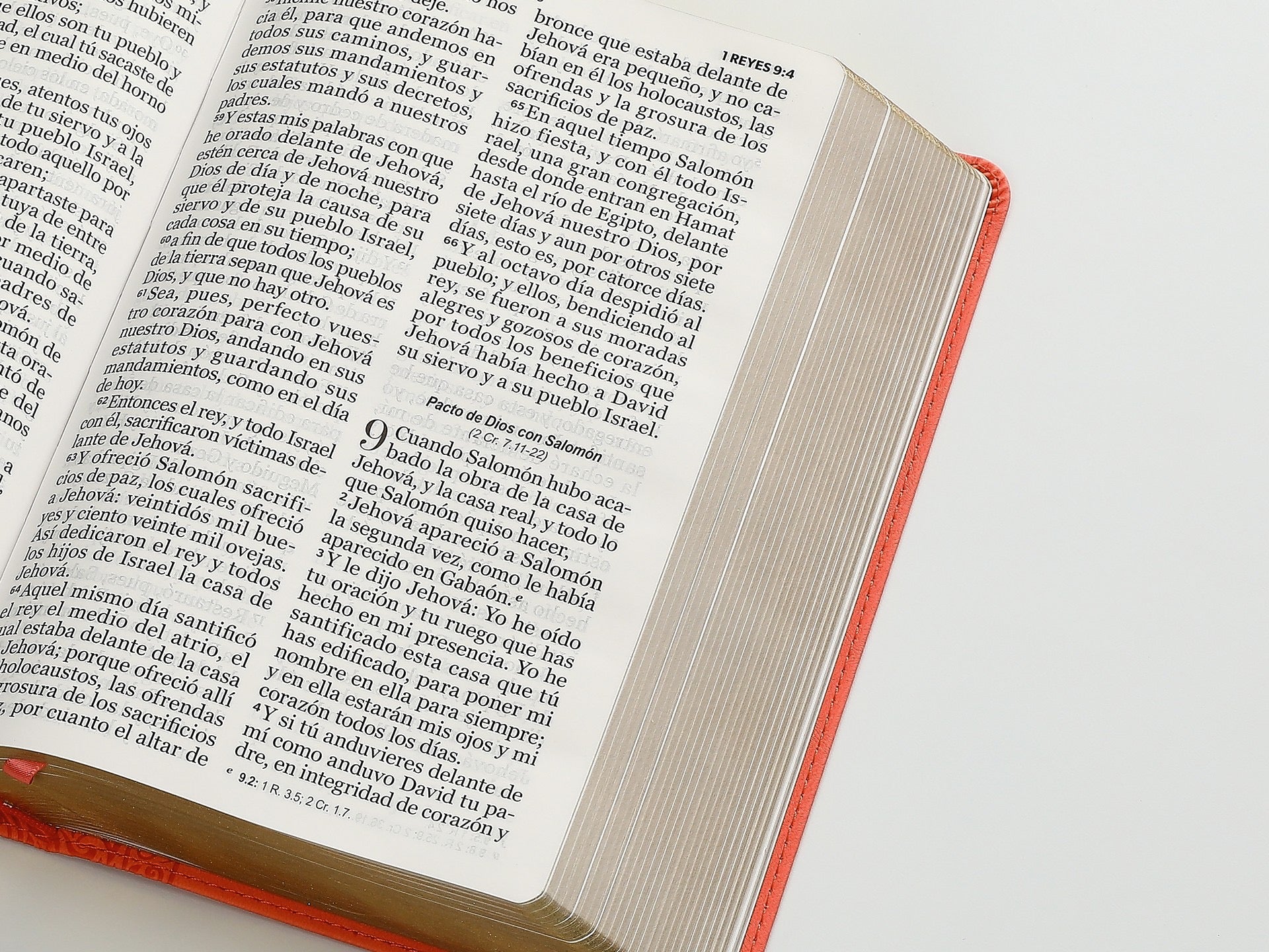 Biblia RVR60 Tamaño manual letra GIgante