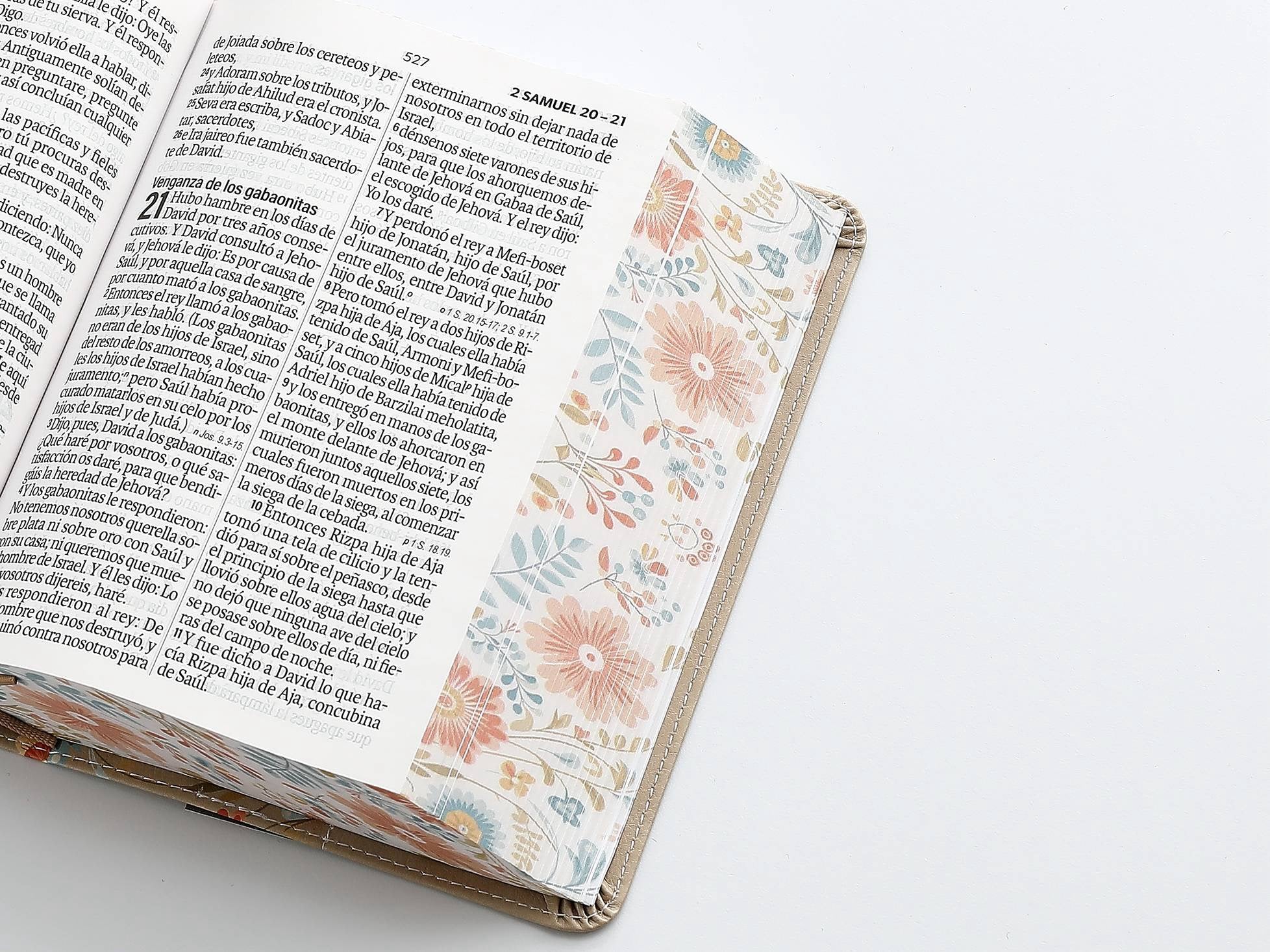 Biblia RVR60 Tamaño compacto Letra Grande 12 puntos