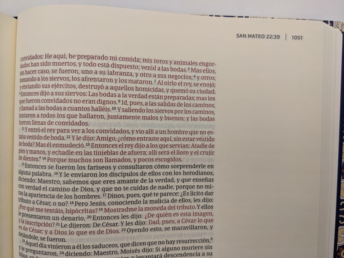 Libreria Cristiana Arca