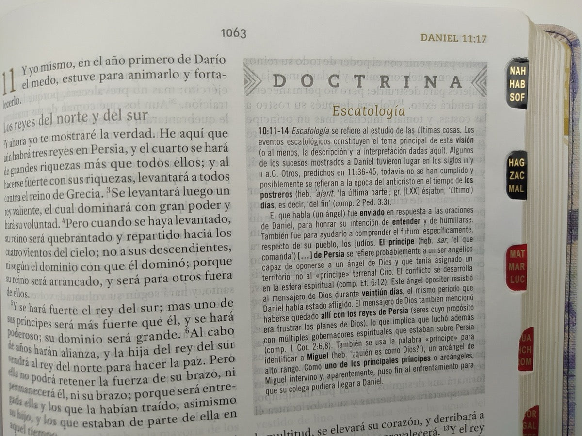 Libreria Cristiana Arca