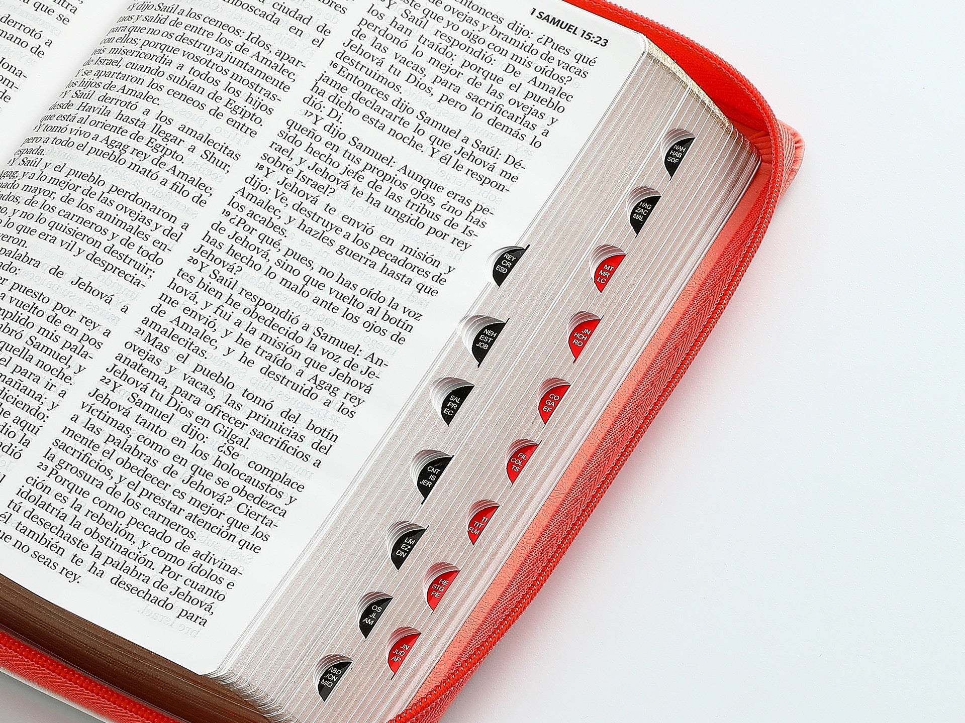 Libreria Cristiana Arca