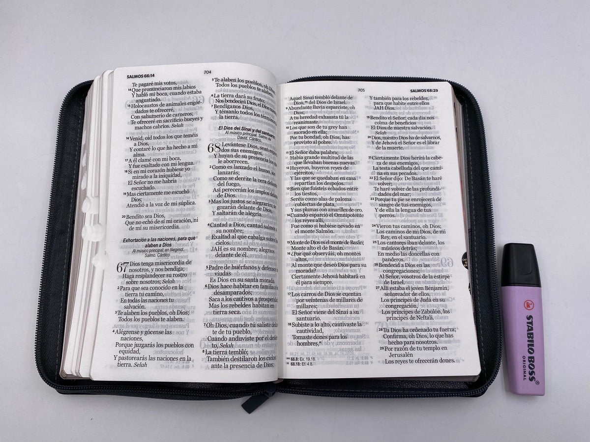 Biblia RVR60 Tamaño Manual Letra Grande negro