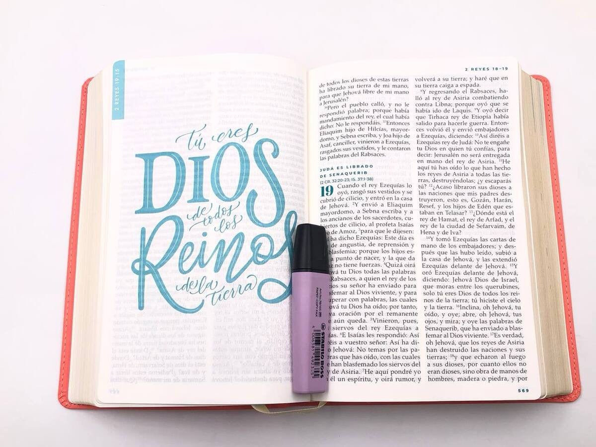 Libreria Cristiana Arca