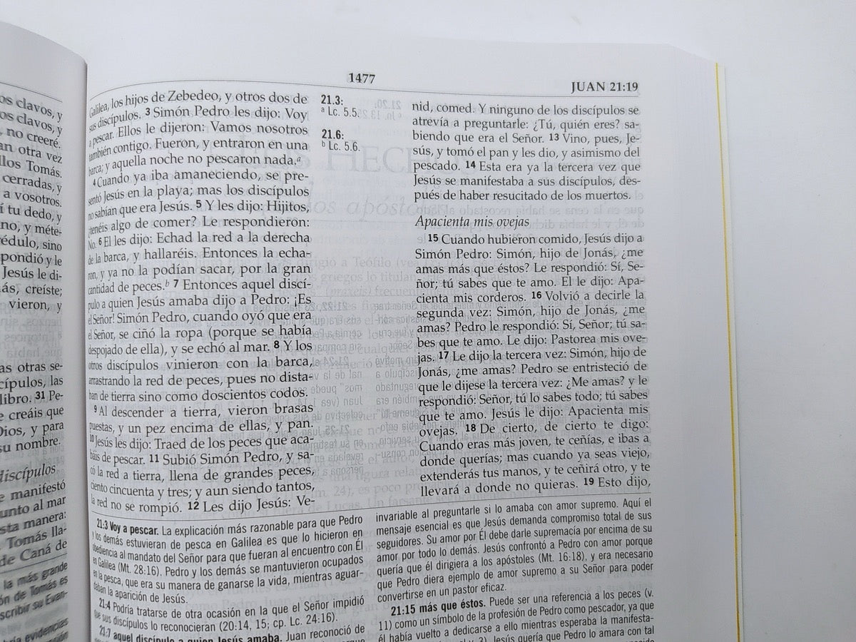 Biblia RVR 1960 de Estudio MacArthur Rústica