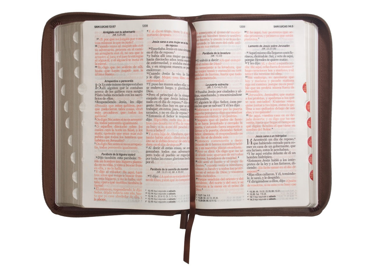 Biblia RVR60 Tamaño Manual Letra Grande café cierre indice