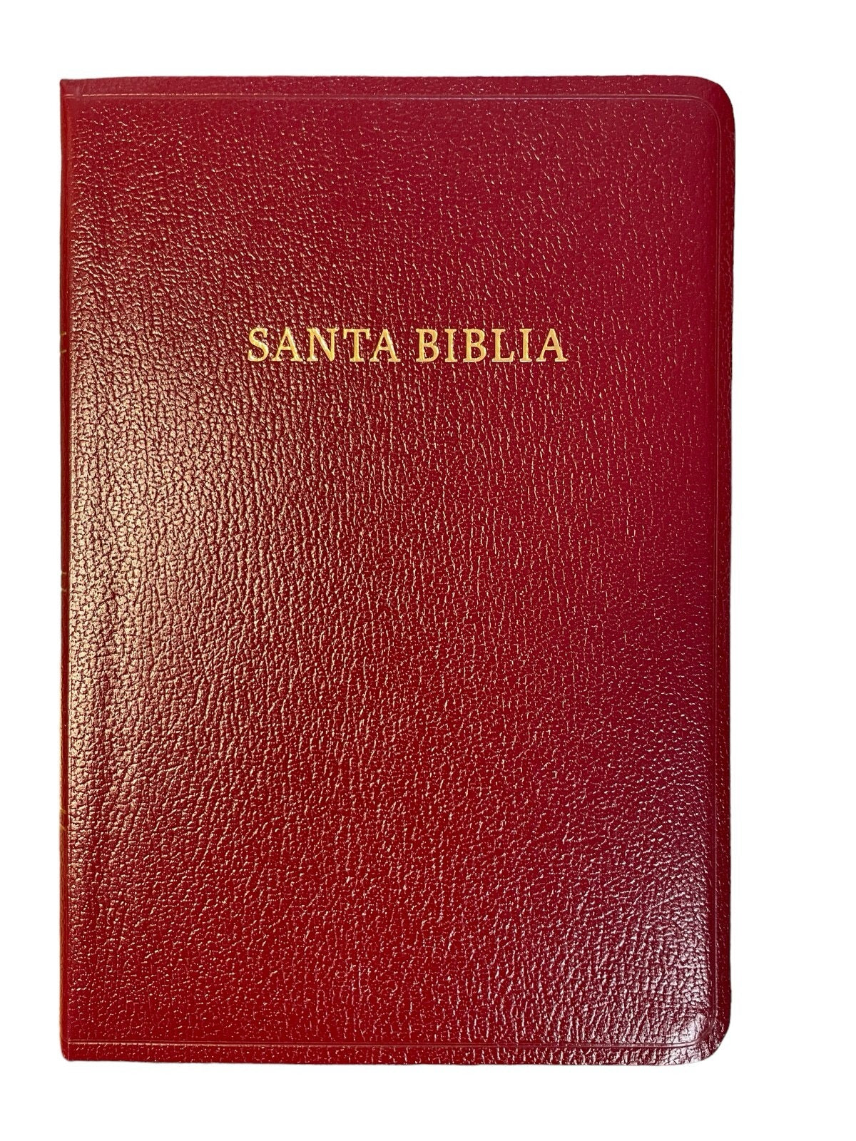 Biblia RVR 1960 Letra Grande Tamaño Manual