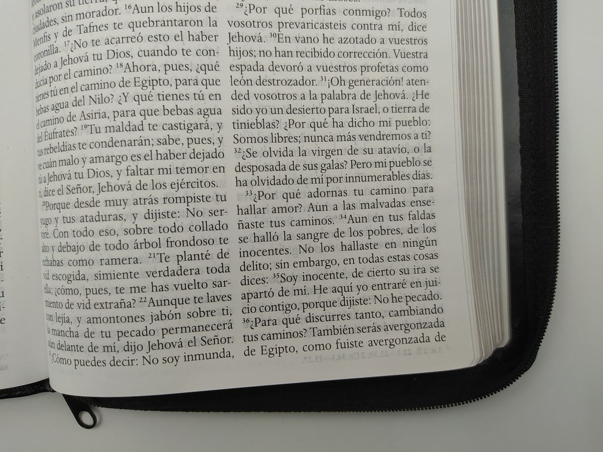 Biblia RVR 1960 Letra Grande Tamaño Manual Negro con Cierre