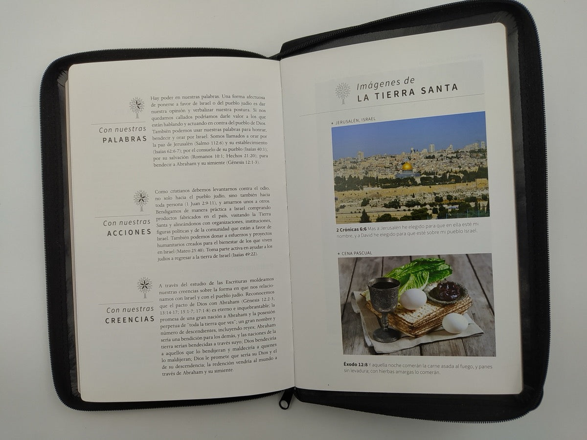 Biblia RVR 1960 Letra Grande Tamaño Manual Negro con Cierre