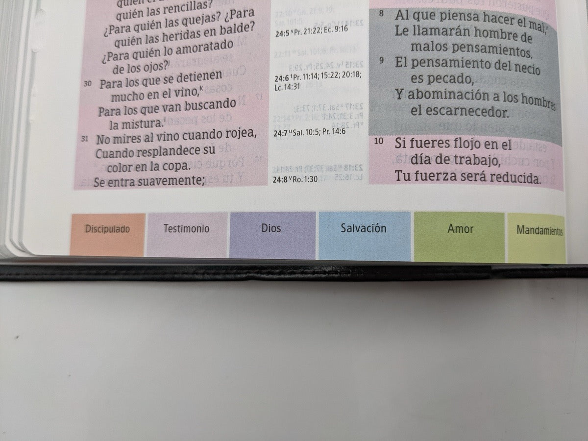 Biblia RVR 1960 de Estudio Arco Iris negro con indice