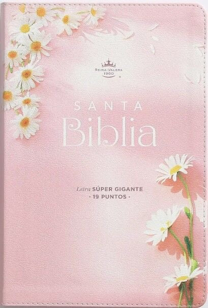 Libreria Cristiana Arca