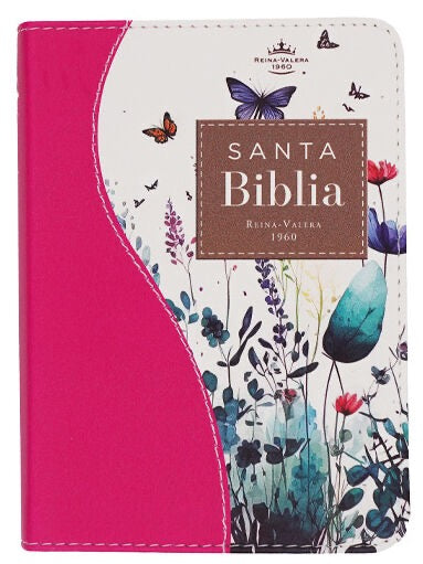 Libreria Cristiana Arca