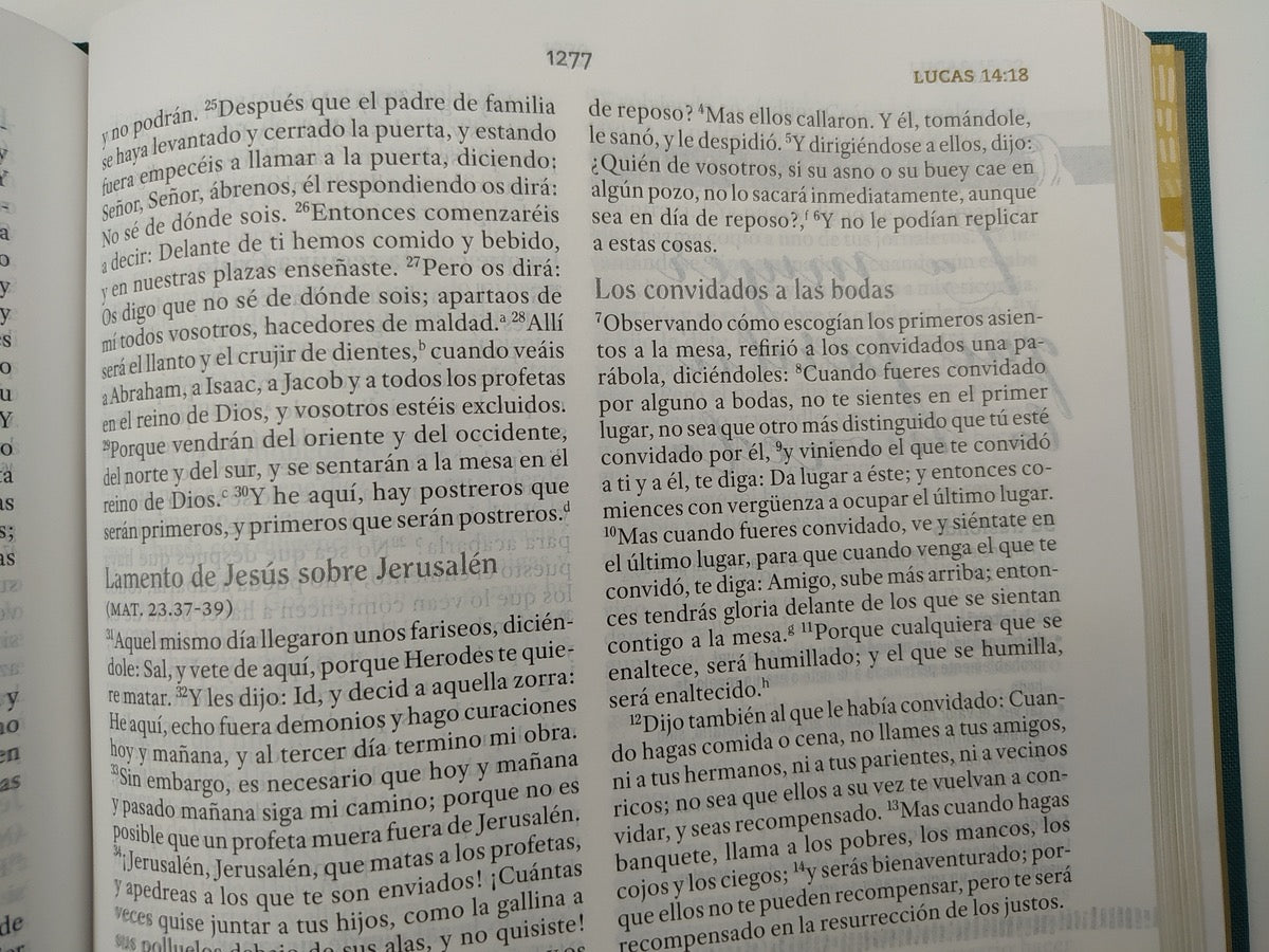 Biblia RVR 1960 de Estudio para Mujeres