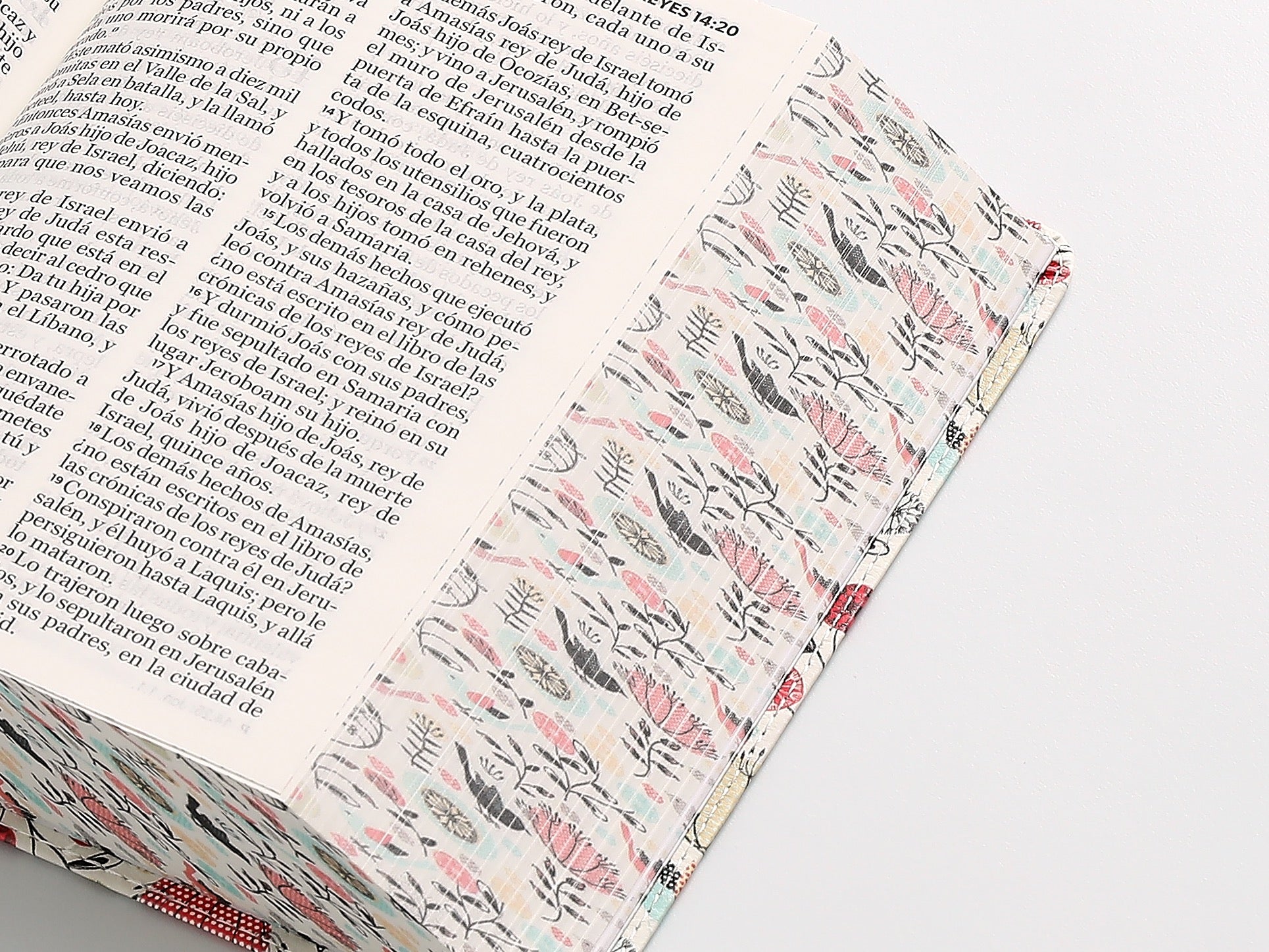 Biblia RVR 1960 Letra Grande Tamaño Manual